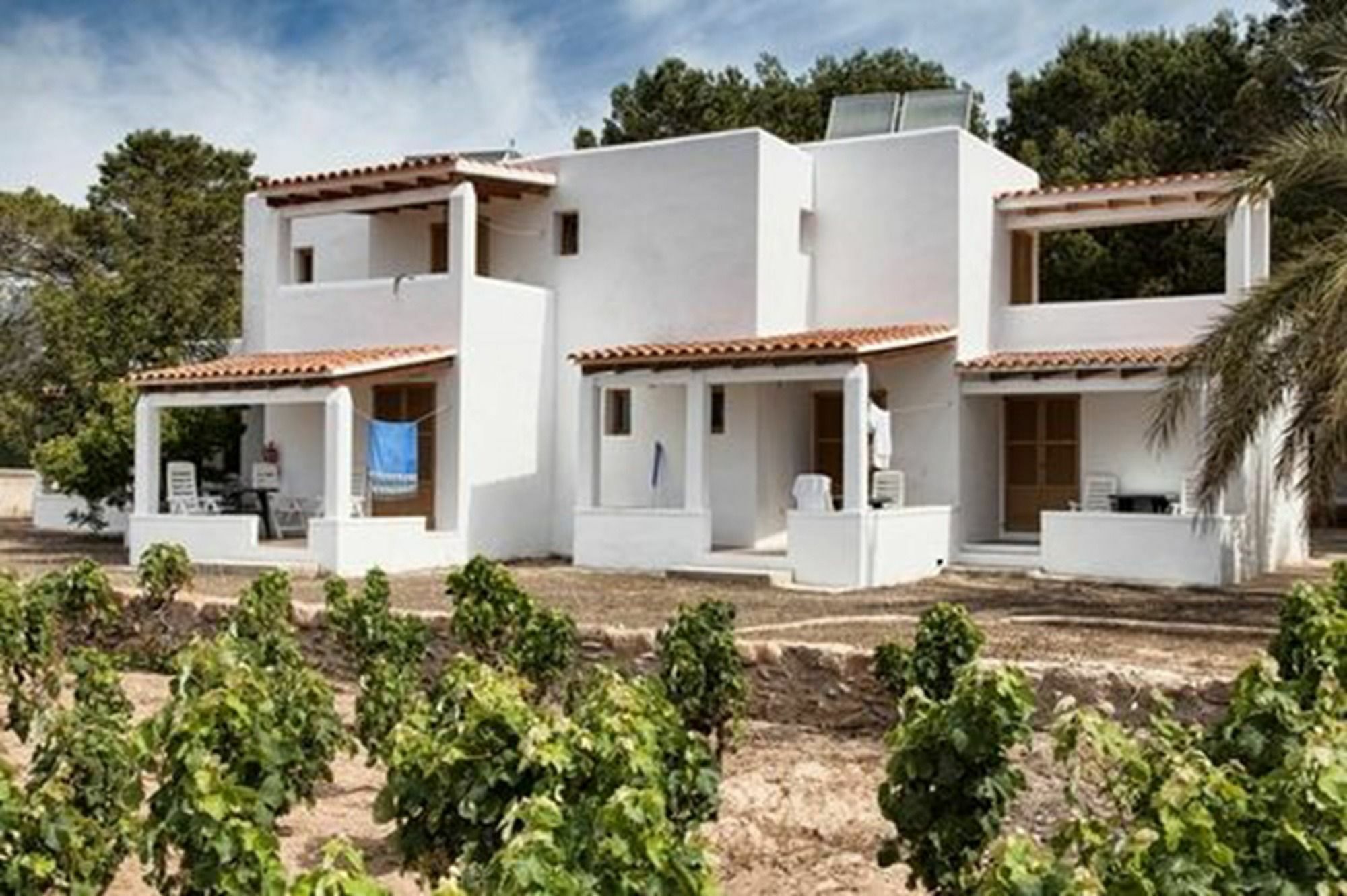 Bungalows Es Pins - Emar Hotels Platja de Migjorn Eksteriør billede