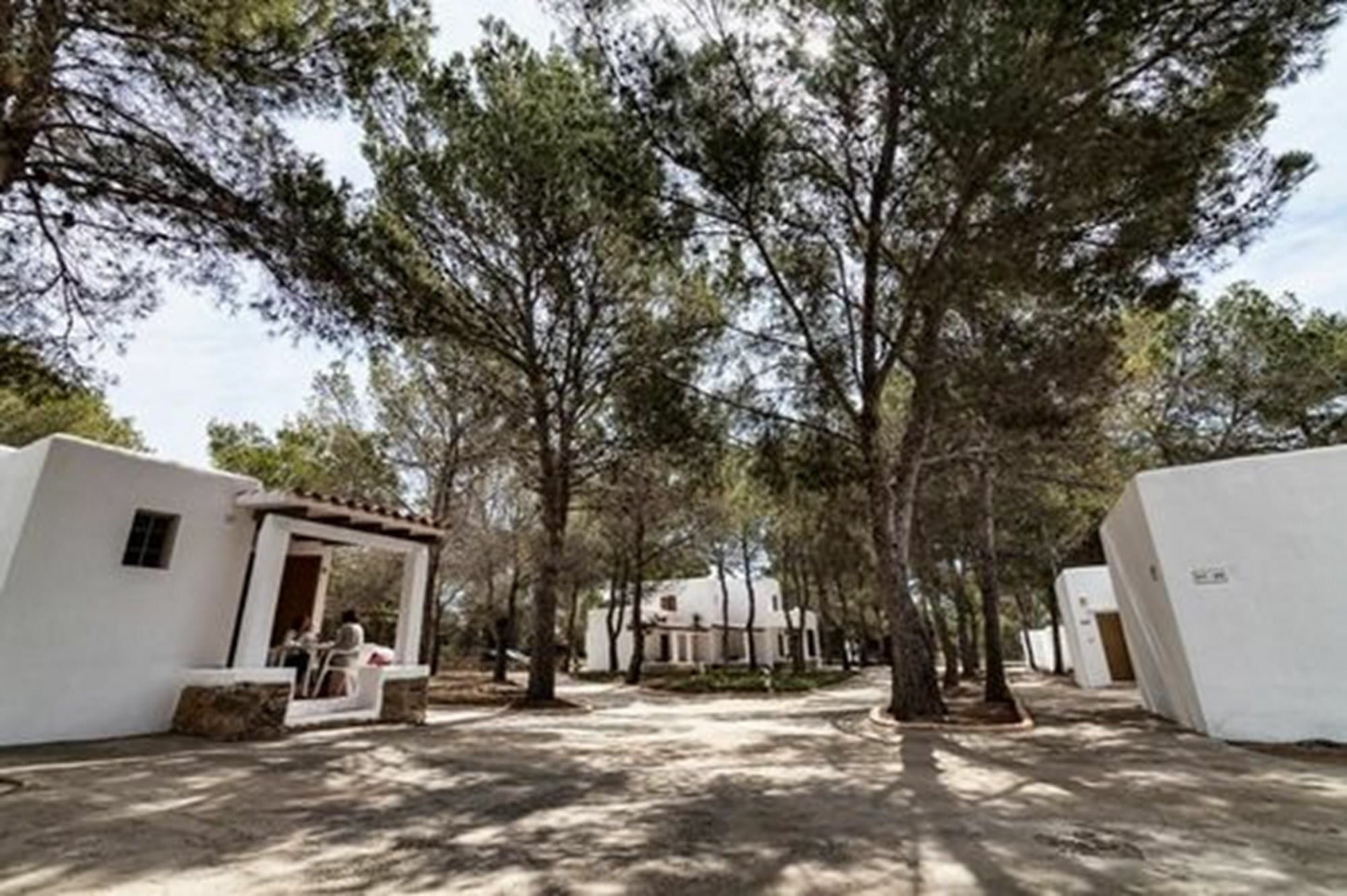 Bungalows Es Pins - Emar Hotels Platja de Migjorn Eksteriør billede